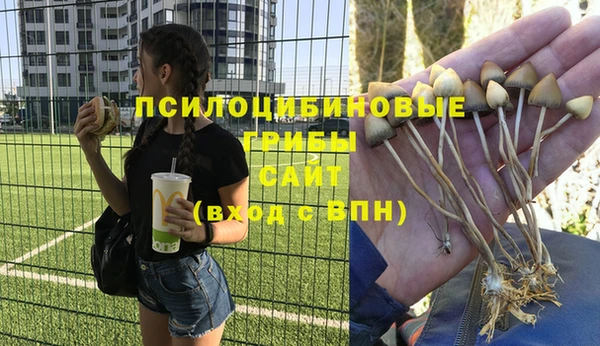 не бодяженный Корсаков