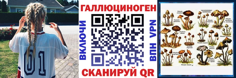 Купить закладки  Малмыж  Псилоцибиновые грибы прущие грибы 